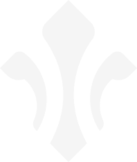 Drupanel logo